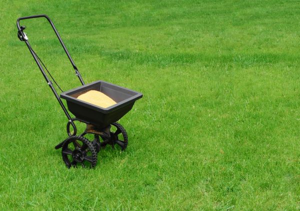 Abilene Lawn Treatment